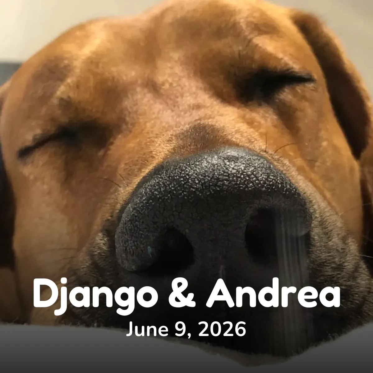 Django & Andrea