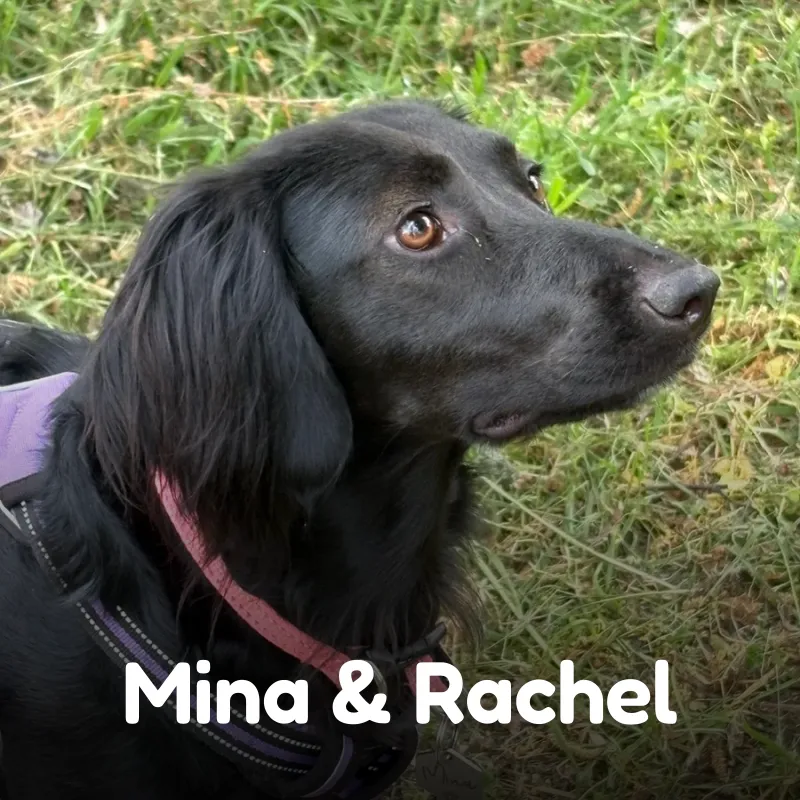 Mina & Rachel