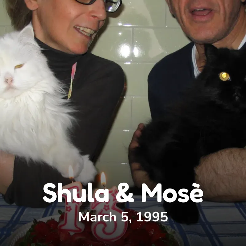 Shula & Mosè