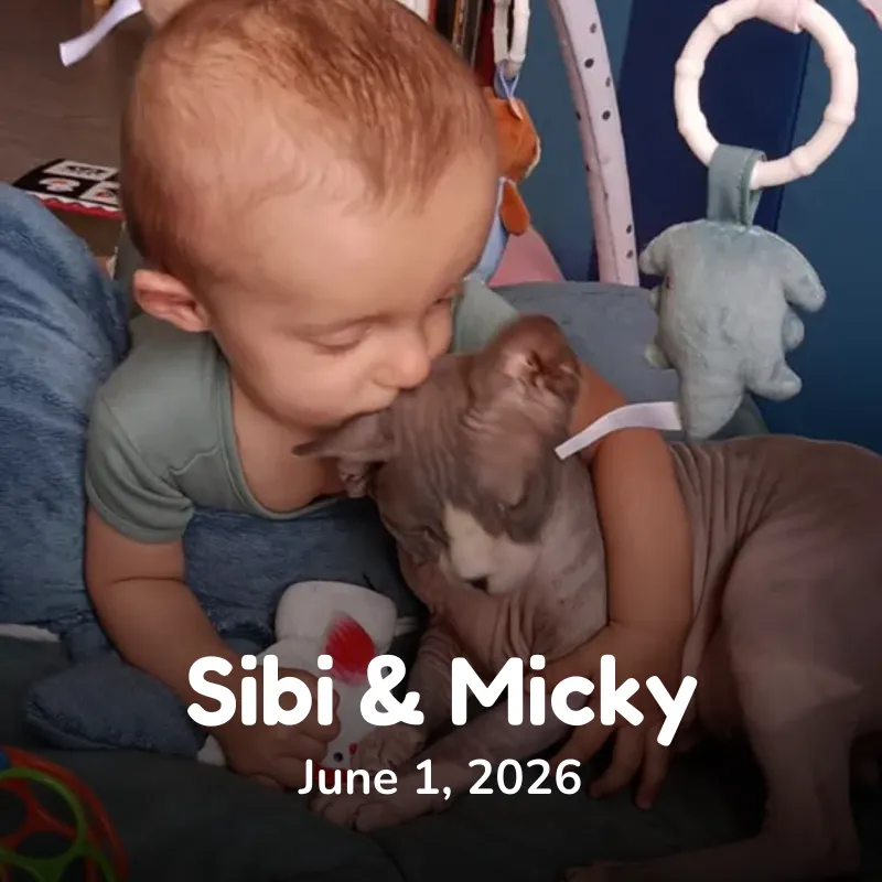 Sibi & Micky