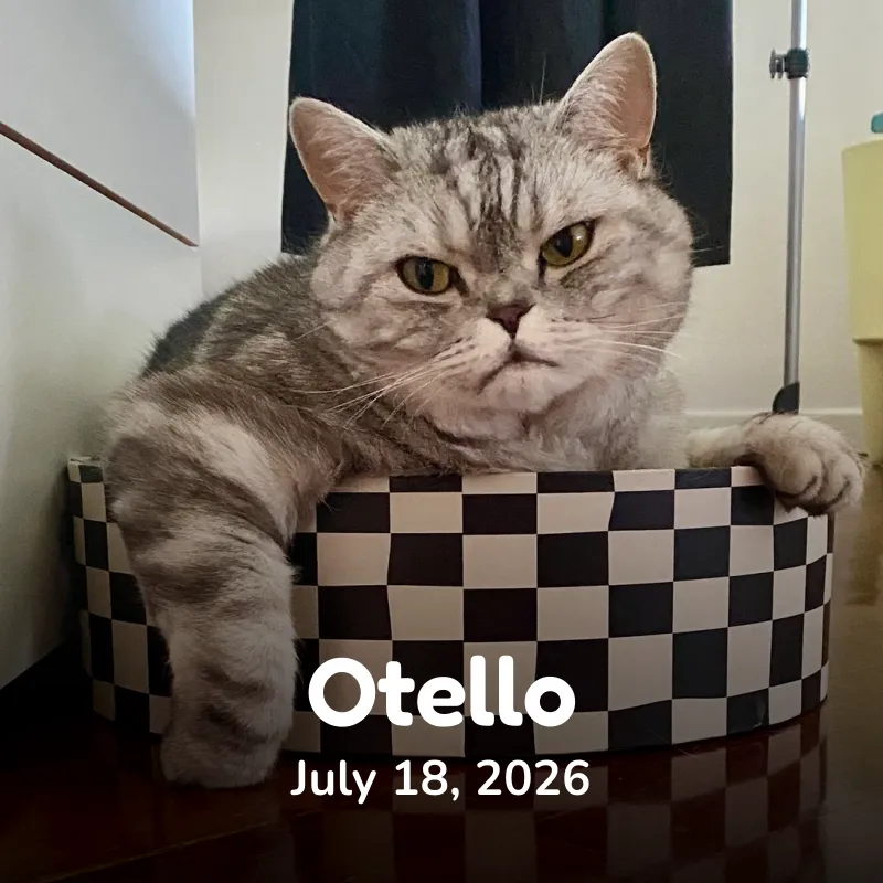 Otello