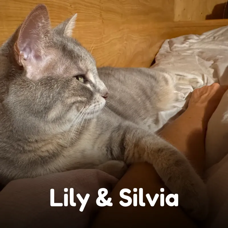 Lily & Silvia