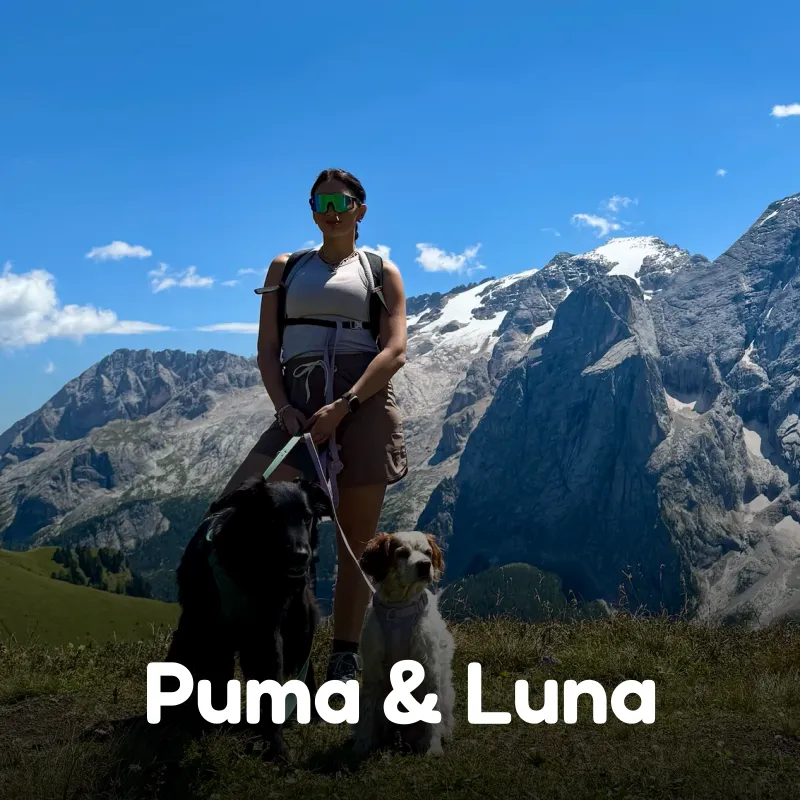 Puma & Luna