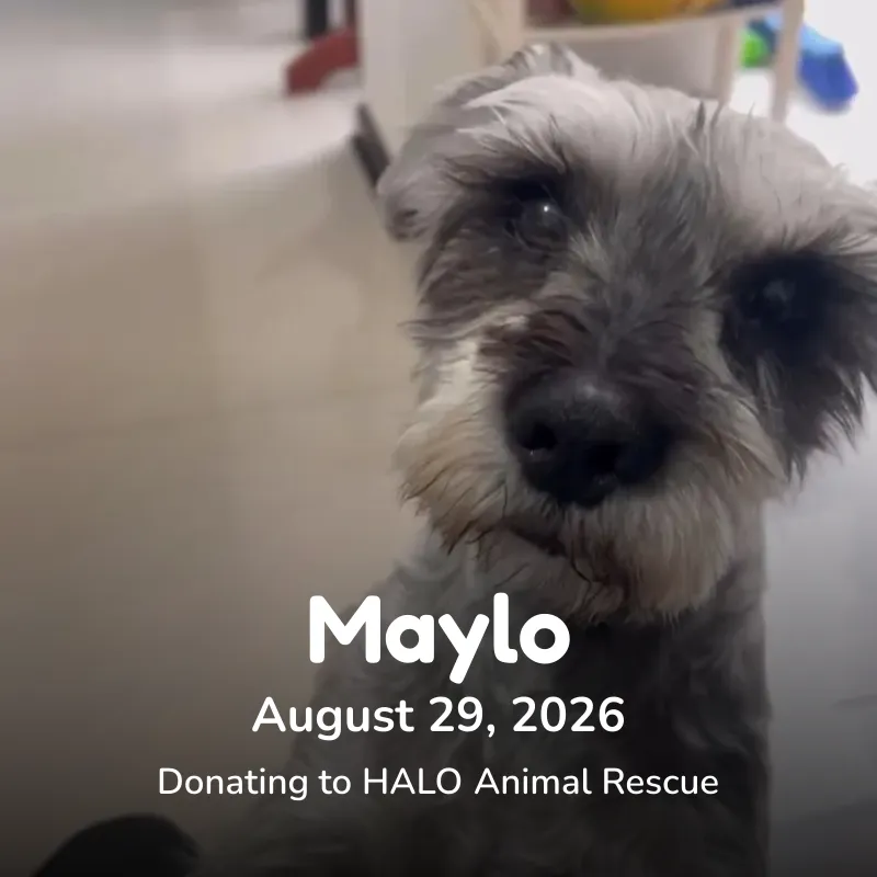 Maylo