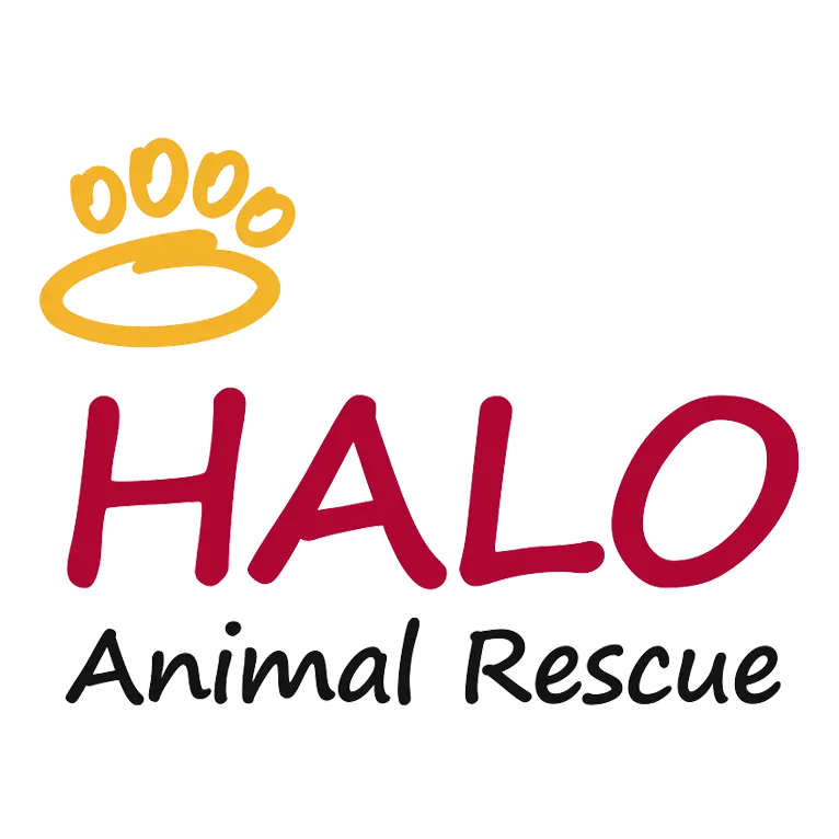 HALO Animal Rescue