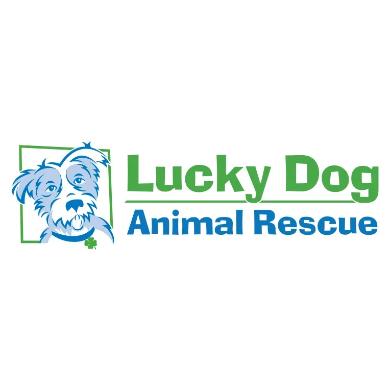 Lucky Dog Animal Rescue